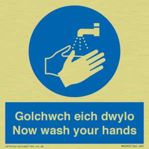 MH930: golchwch eich dwylo