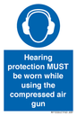 MP10064: Hearing protection MUST be worn while using the compressed air gun