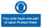 MP10887: Mandatory: You only have one pair of ears! Protect them