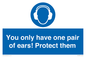 MP10887: Mandatory: You only have one pair of ears! Protect them