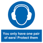 MP10887: Mandatory: You only have one pair of ears! Protect them