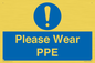 MP12987: Please Wear PPE