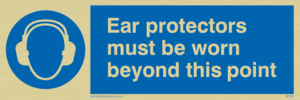 MP261: Ear protectors beyond point