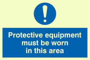 MP293: PPE in this area