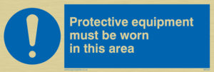 MP293: PPE in this area