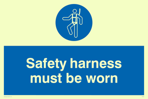 MP298: safety harness must be worn