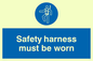 MP298: safety harness must be worn