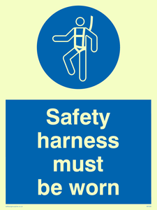 MP298: safety harness must be worn