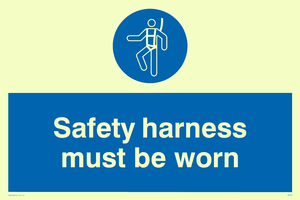 MP298: safety harness must be worn
