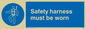 MP298: safety harness must be worn