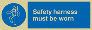 MP298: safety harness must be worn