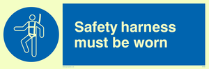 MP298: safety harness must be worn