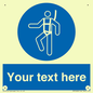 MP3028: Custom Safety Harness Sign