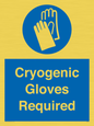 MP7021: Cryogenic Gloves Required