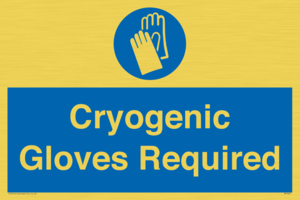 MP7021: Cryogenic Gloves Required