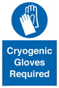 MP7021: Cryogenic Gloves Required