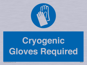 MP7021: Cryogenic Gloves Required