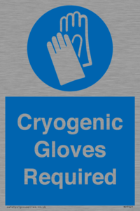 MP7021: Cryogenic Gloves Required