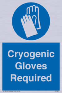 MP7021: Cryogenic Gloves Required