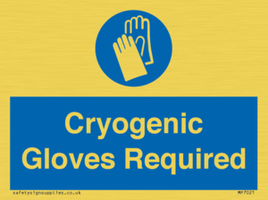 MP7021: Cryogenic Gloves Required