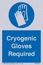 MP7021: Cryogenic Gloves Required