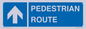 MR12816: PEDESTRIAN ROUTE