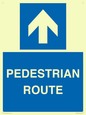 MR12816: PEDESTRIAN ROUTE