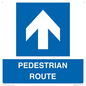 MR12816: PEDESTRIAN ROUTE