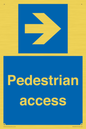 MR12818: Pedestrian access