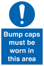 MV10424: Bump caps must be worn in this area