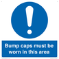 MV10424: Bump caps must be worn in this area