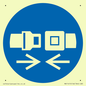 MV11415: Mandatory: Wear safety belts