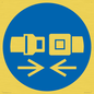 MV11415: Mandatory: Wear safety belts