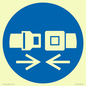 MV11415: Mandatory: Wear safety belts