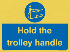 MV12658: Hold the trolley handle