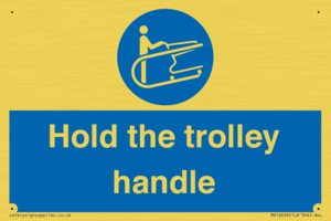 MV12658: Hold the trolley handle