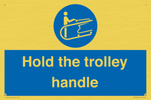 MV12658: Hold the trolley handle
