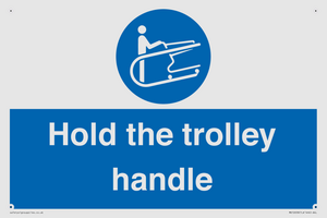 MV12658: Hold the trolley handle