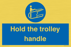 MV12658: Hold the trolley handle