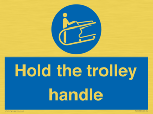 MV12658: Hold the trolley handle
