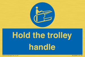 MV12658: Hold the trolley handle