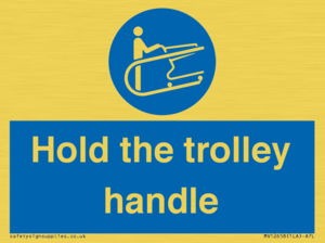 MV12658: Hold the trolley handle