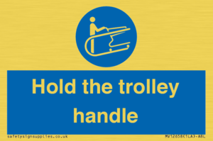 MV12658: Hold the trolley handle