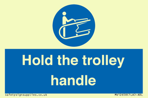 MV12658: Hold the trolley handle