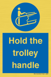 MV12658: Hold the trolley handle