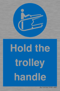 MV12658: Hold the trolley handle