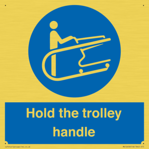 MV12658: Hold the trolley handle