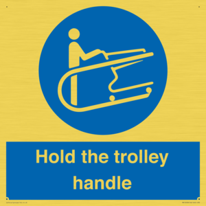 MV12658: Hold the trolley handle
