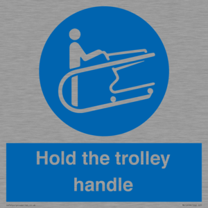 MV12658: Hold the trolley handle