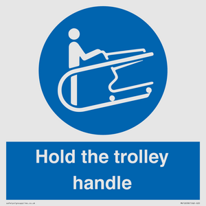 MV12658: Hold the trolley handle